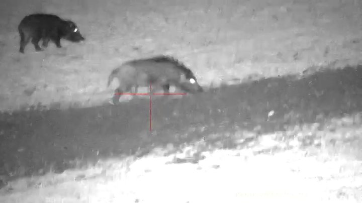 Цифровая камера PARD  NV008SP 940nm