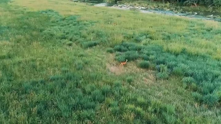 Тепловизор GUIDE TJ660LZ с дальномером