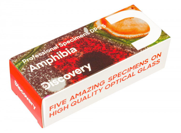 Набор микропрепаратов Discovery Prof DPS 5. «Амфибия» (78413) - фото 1