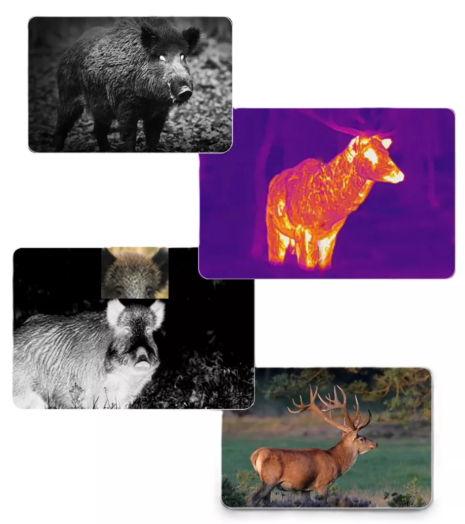 4 канала: ночной, тепловизионный, PiP, дневной