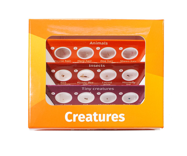 Набор микропрепаратов Levenhuk LabZZ C12, существа (72868) - фото 1