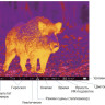 Мультиспектральный прицел Pard Landsat 640 Compact Q LA6CQ-45/70/940/LRF (с дальномером и креплением Picatinny) - фото 8