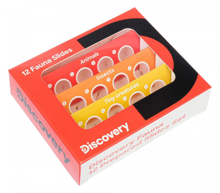 Набор микропрепаратов Discovery «Фауна», 12 шт (78224) - фото 1